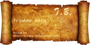 Trieber Béla névjegykártya